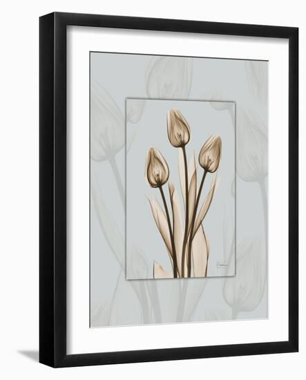 Tulip Blu Brown 2-Albert Koetsier-Framed Art Print
