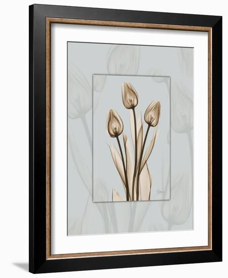 Tulip Blu Brown 2-Albert Koetsier-Framed Art Print