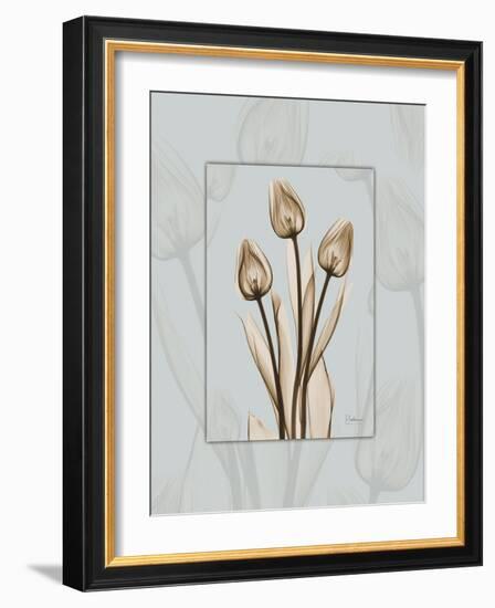 Tulip Blu Brown 2-Albert Koetsier-Framed Art Print