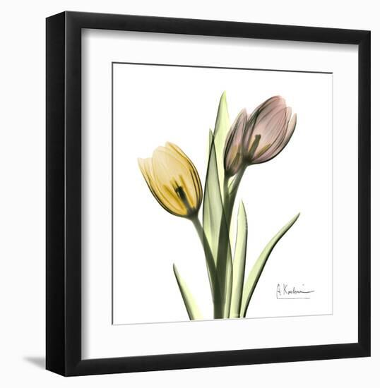 Tulip Bouquet-Albert Koetsier-Framed Art Print