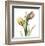 Tulip Bouquet-Albert Koetsier-Framed Art Print