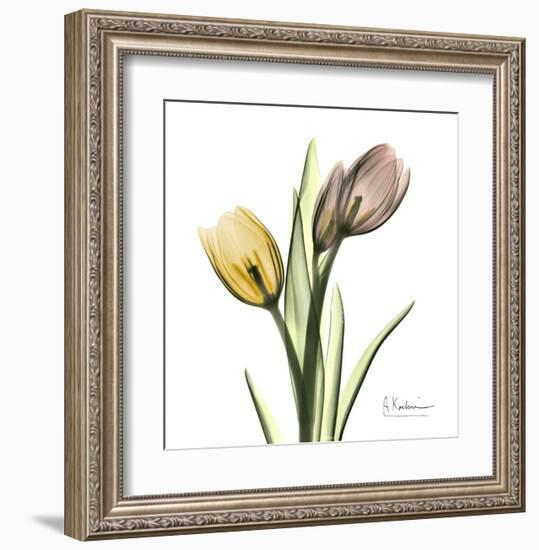 Tulip Bouquet-Albert Koetsier-Framed Art Print