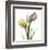 Tulip Bouquet-Albert Koetsier-Framed Art Print