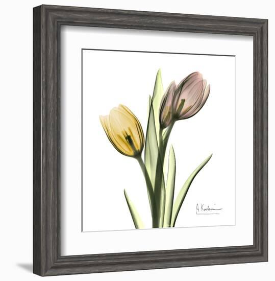 Tulip Bouquet-Albert Koetsier-Framed Art Print