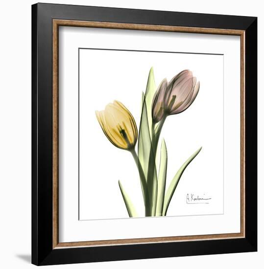 Tulip Bouquet-Albert Koetsier-Framed Art Print