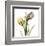 Tulip Bouquet-Albert Koetsier-Framed Art Print