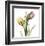 Tulip Bouquet-Albert Koetsier-Framed Art Print