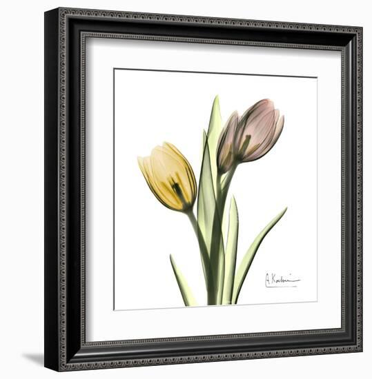 Tulip Bouquet-Albert Koetsier-Framed Art Print