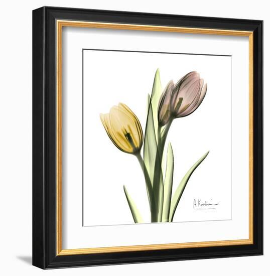 Tulip Bouquet-Albert Koetsier-Framed Art Print