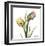 Tulip Bouquet-Albert Koetsier-Framed Art Print