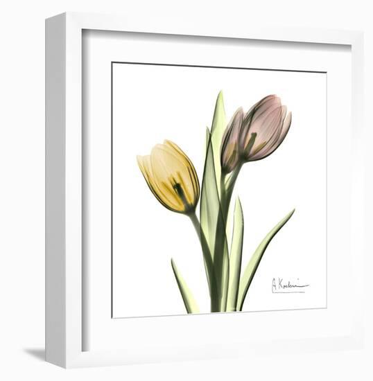 Tulip Bouquet-Albert Koetsier-Framed Art Print