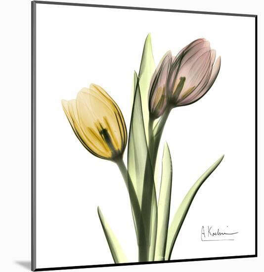 Tulip Bouquet-Albert Koetsier-Mounted Art Print