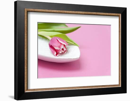 Tulip, Bowl, Porcelain, Pink, Table-Sebastian Scheuerecker-Framed Photographic Print