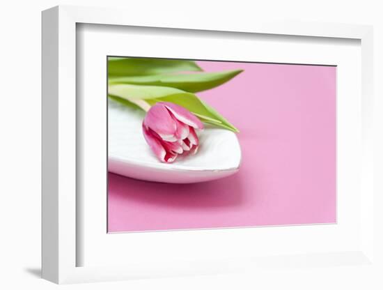 Tulip, Bowl, Porcelain, Pink, Table-Sebastian Scheuerecker-Framed Photographic Print