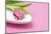 Tulip, Bowl, Porcelain, Pink, Table-Sebastian Scheuerecker-Mounted Photographic Print