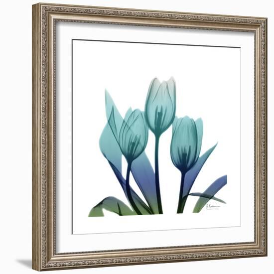 Tulip Buddies-Albert Koetsier-Framed Art Print