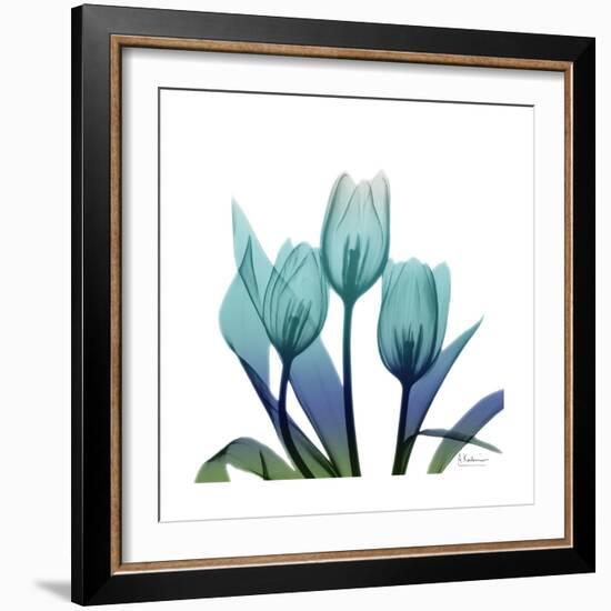 Tulip Buddies-Albert Koetsier-Framed Art Print