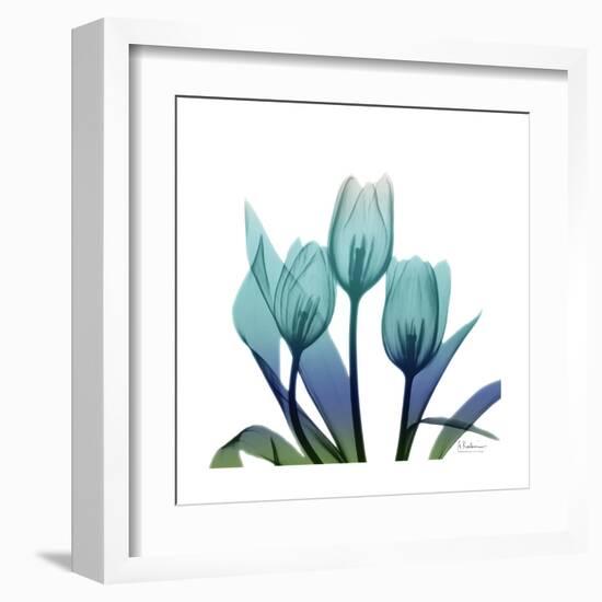 Tulip Buddies-Albert Koetsier-Framed Art Print