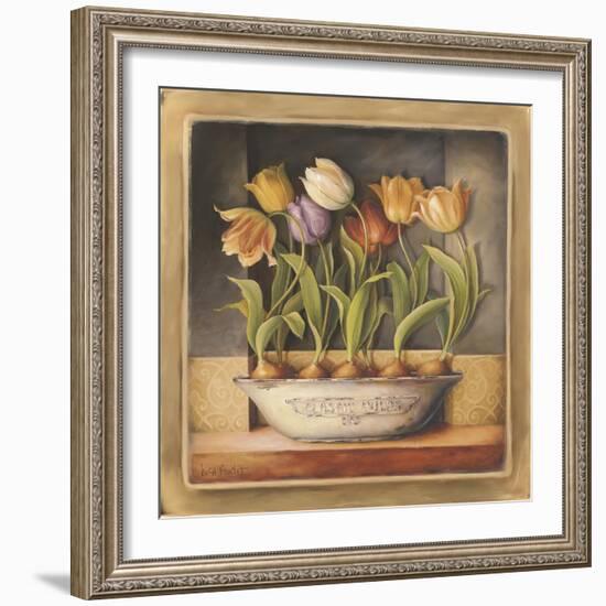 Tulip Classic Bulb-Lisa Audit-Framed Giclee Print