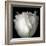 Tulip Close-up-Magda Indigo-Framed Photographic Print