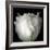 Tulip Close-up-Magda Indigo-Framed Photographic Print