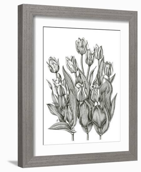 Tulip Cluster-Lucy Francis-Framed Giclee Print