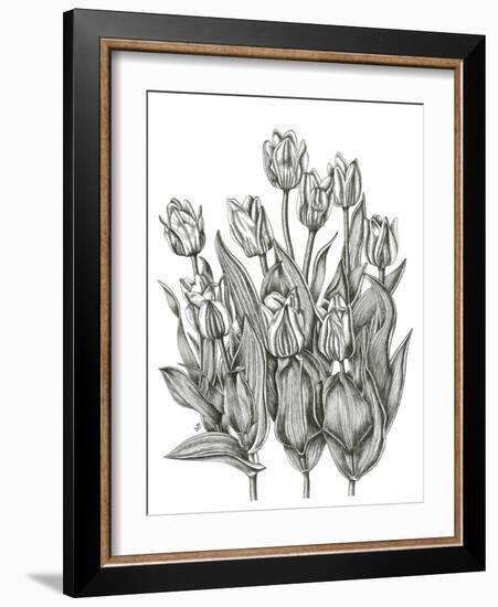 Tulip Cluster-Lucy Francis-Framed Giclee Print