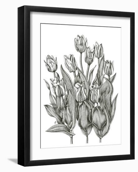 Tulip Cluster-Lucy Francis-Framed Giclee Print