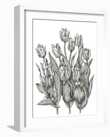 Tulip Cluster-Lucy Francis-Framed Giclee Print