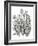 Tulip Cluster-Lucy Francis-Framed Giclee Print