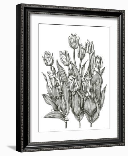 Tulip Cluster-Lucy Francis-Framed Giclee Print