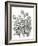 Tulip Cluster-Lucy Francis-Framed Giclee Print