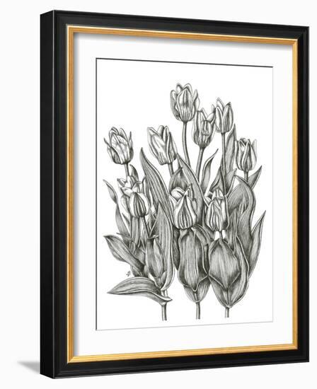 Tulip Cluster-Lucy Francis-Framed Giclee Print