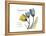 Tulip Compassion-Albert Koetsier-Framed Stretched Canvas