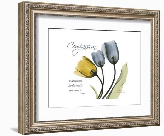 Tulip Compassion-Albert Koetsier-Framed Premium Giclee Print