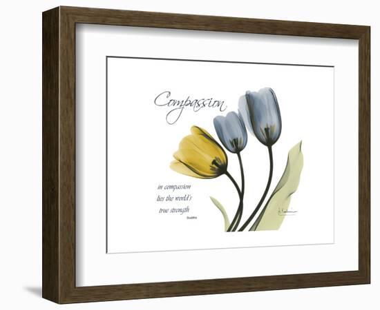 Tulip Compassion-Albert Koetsier-Framed Premium Giclee Print