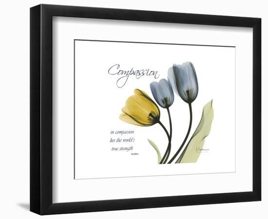 Tulip Compassion-Albert Koetsier-Framed Premium Giclee Print