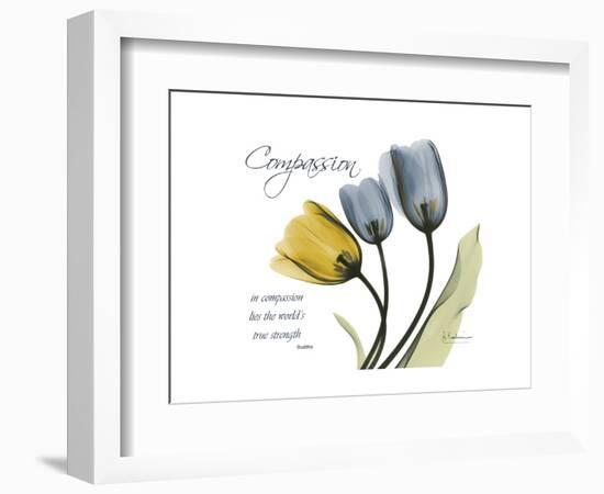 Tulip Compassion-Albert Koetsier-Framed Premium Giclee Print