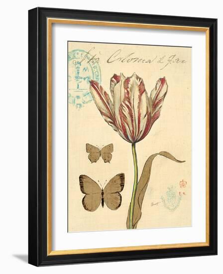 Tulip Curiosity-Chad Barrett-Framed Art Print