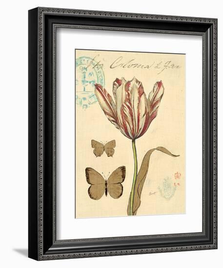 Tulip Curiosity-Chad Barrett-Framed Art Print