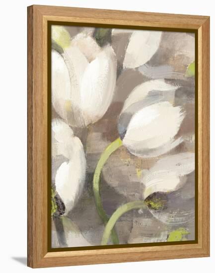 Tulip Delight II-Hristova Albena-Framed Stretched Canvas
