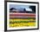 Tulip Display Field, Washington, USA-William Sutton-Framed Photographic Print