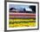 Tulip Display Field, Washington, USA-William Sutton-Framed Photographic Print