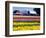 Tulip Display Field, Washington, USA-William Sutton-Framed Photographic Print