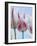 Tulip Dream I-Ella Lancaster-Framed Giclee Print