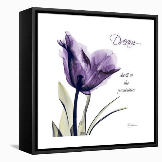 Tulip Dream-Albert Koetsier-Framed Stretched Canvas