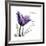 Tulip Dream-Albert Koetsier-Framed Premium Giclee Print