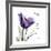 Tulip Dream-Albert Koetsier-Framed Premium Giclee Print