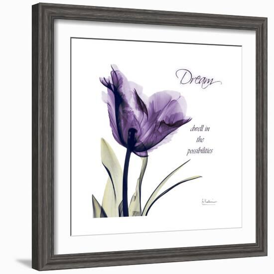 Tulip Dream-Albert Koetsier-Framed Premium Giclee Print