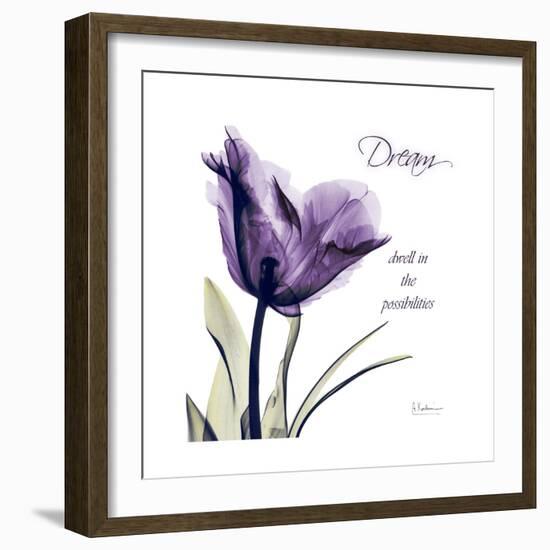 Tulip Dream-Albert Koetsier-Framed Premium Giclee Print